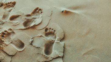 foot print sand