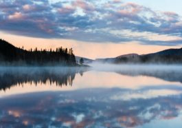 sia gaspesie