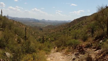 arizona