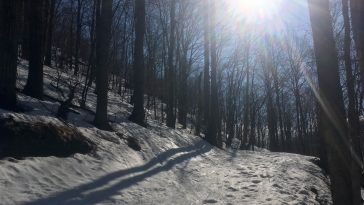 Photo : Stéphanie Côté