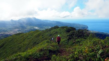 La vue depuis le mont Pelée