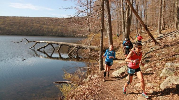 Bear mountain