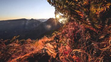 Sur le sublime parcours de la Diagonale des fous