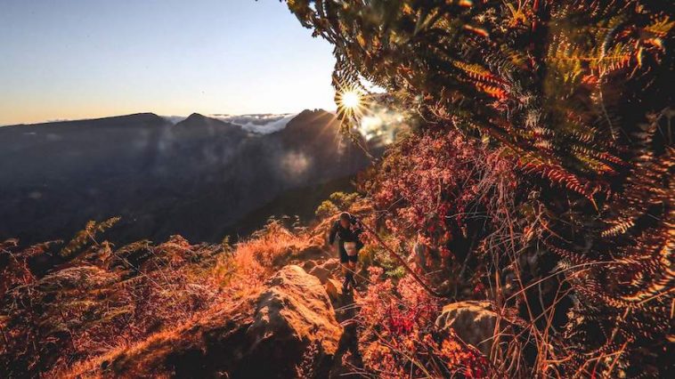 Sur le sublime parcours de la Diagonale des fous