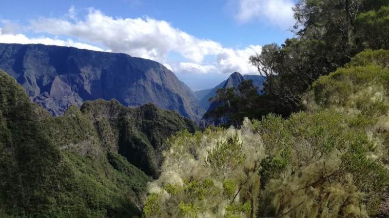 Vue sur le sentier scout sur le parcours du Mafate Trail Tour
