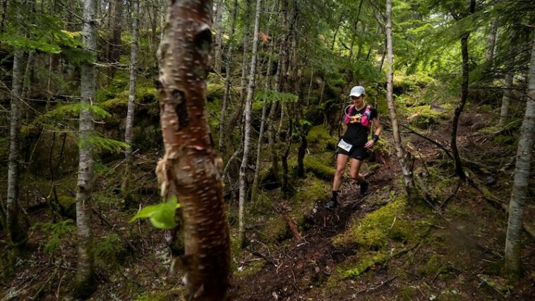 coureuse dans le bois