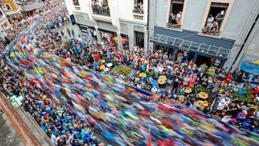 utmb