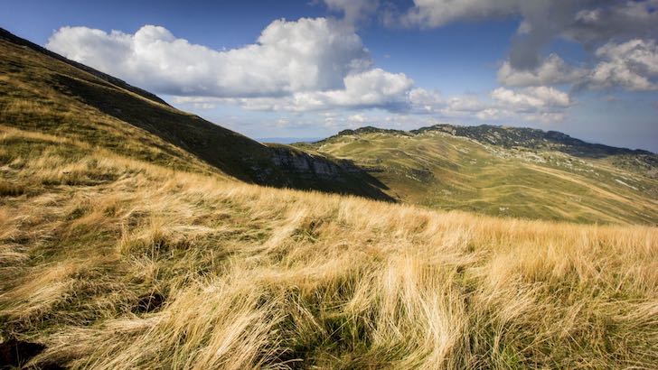 Jura