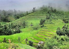 Chiang Maï