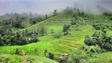 Chiang Maï