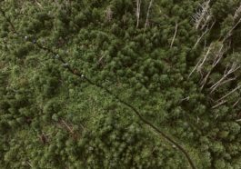 quebec mega trail