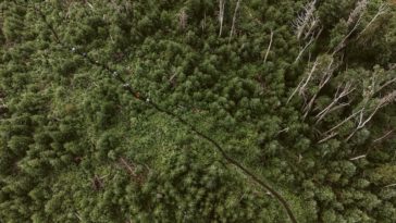 quebec mega trail