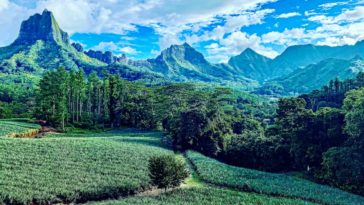 moorea