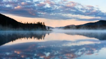 sia gaspesie